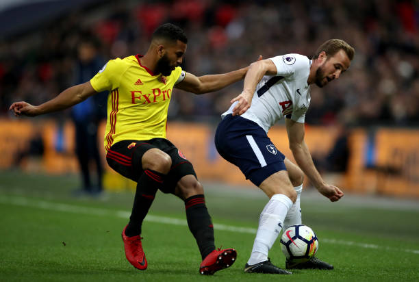 荷兰文化的 荷兰文化的