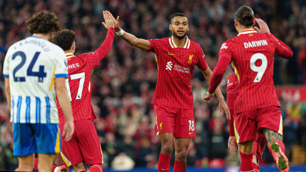 的全能数据 的全能数据