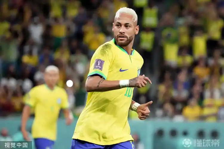 塞鸟的影响 塞鸟的影响