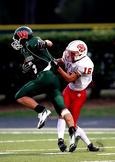 可持续性发 可持续性发